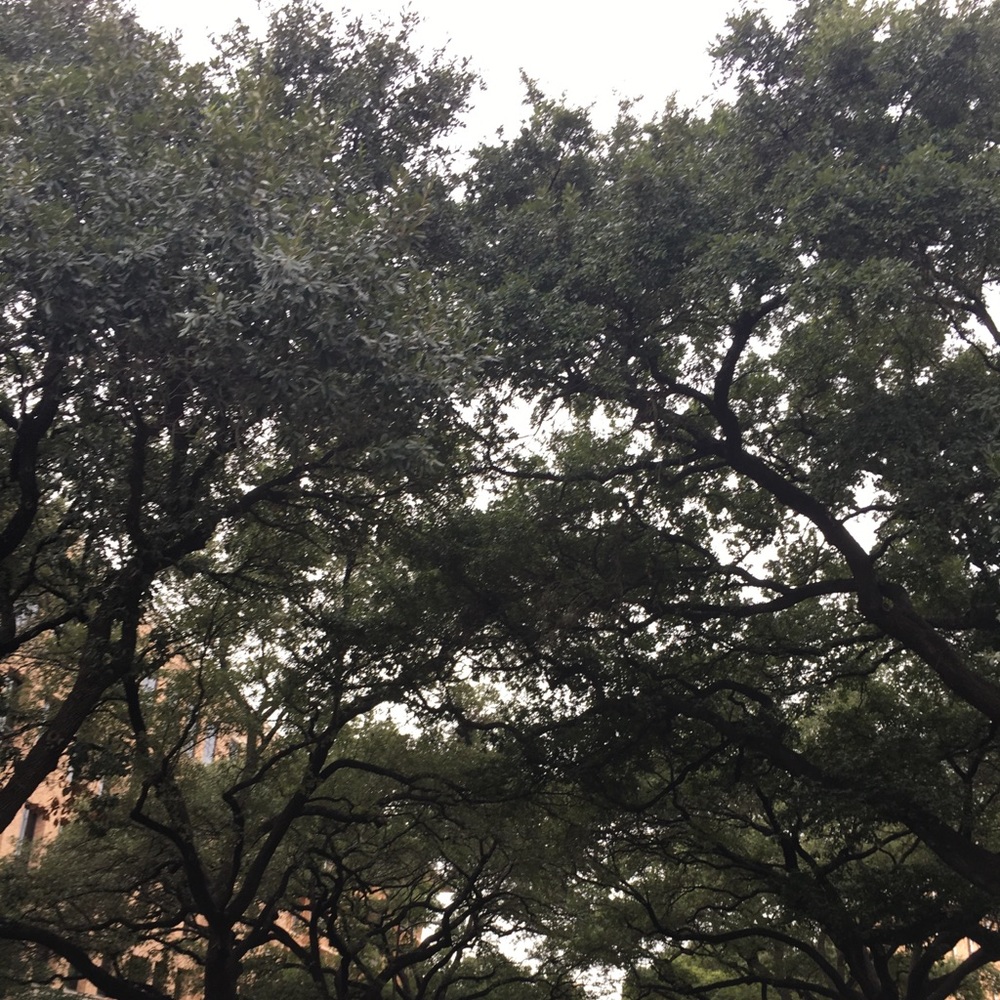 Meet your Posher, Fernanda